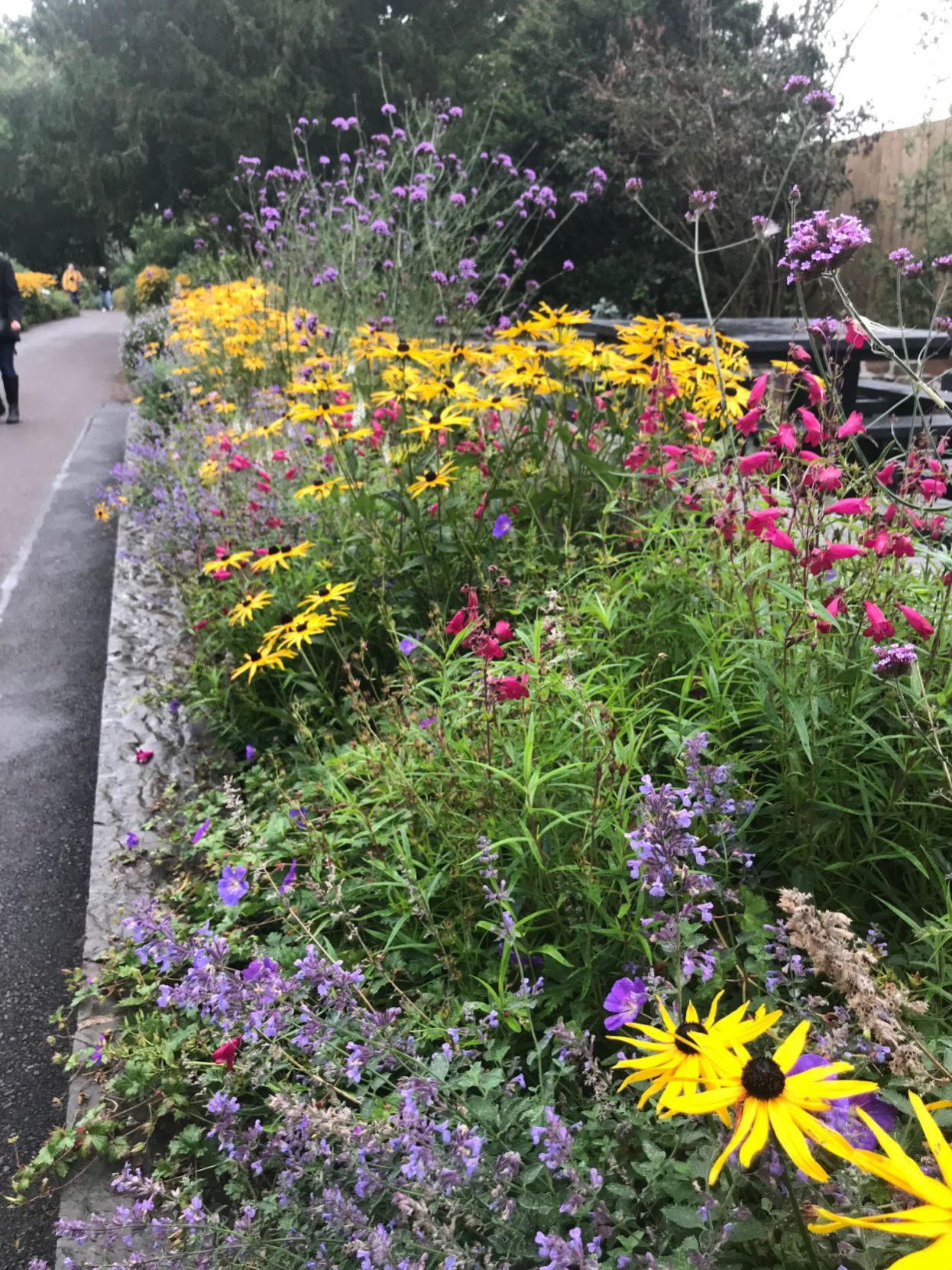 Flowers at Blarney Castle